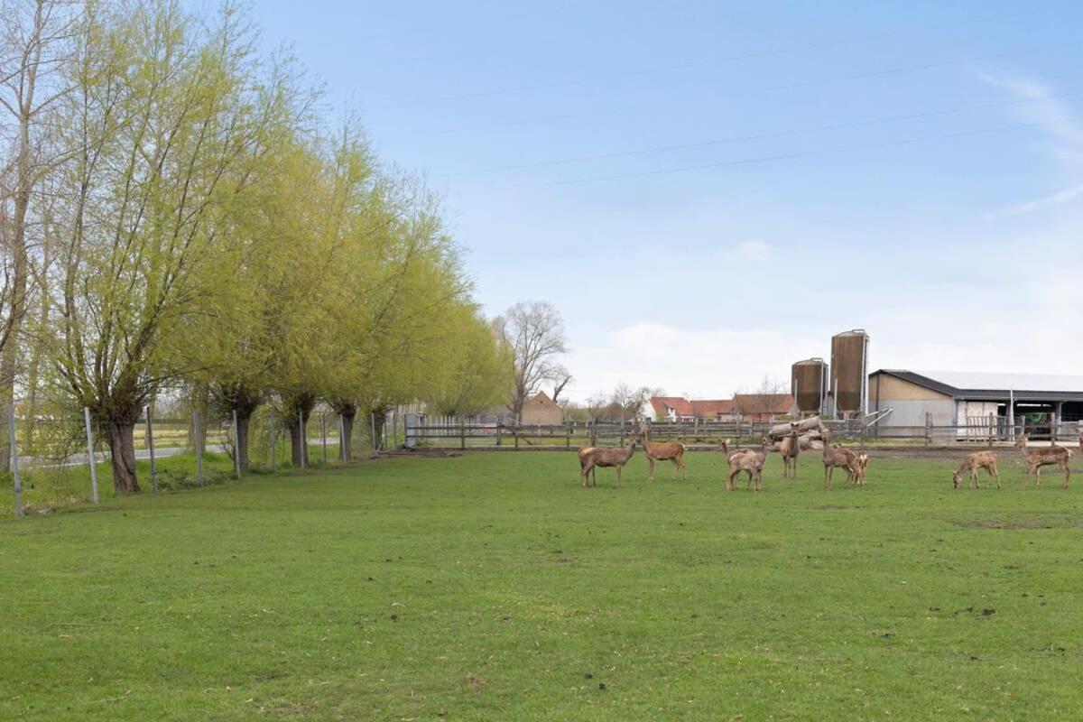 Huswell - Family House With A Beautiful View In Damme Villa Bruges Exterior photo